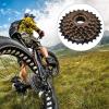 Bicycle Freewheel Stainless Steel Cassette Bike Bicycle Freewheel Cassette Bike Cassette 7 Speeding Mountain Bike Replacement Accessory view 3