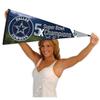 Dallas Cowboys 5 Time Bowl Champions Pennant Banner Flag view 4