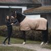 HORZE Kiel Adjustable Horse Halter with Fleece Padding - Tan - Cob view 3