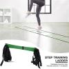 Agility Ladder 4M Adjustable Speed Ladder, Football Flexibility Training Jumping Ladder, Home Sports Training Equipment, with Storage Bag view 3