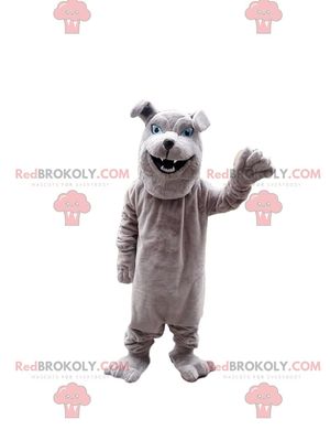 SPOTSOUND Gray bulldog REDBROKOLY Mascot, purebred dog costume