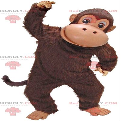 SPOTSOUND Brown monkey REDBROKOLY Mascot, marmoset costume, chimpanzee