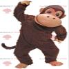 SPOTSOUND Brown monkey REDBROKOLY Mascot, marmoset costume, chimpanzee