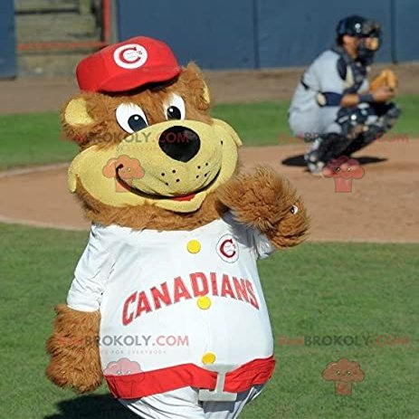 SPOTSOUND Big brown and yellow teddy REDBROKOLY Mascot in sportswear