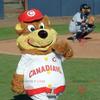 SPOTSOUND Big brown and yellow teddy REDBROKOLY Mascot in sportswear view 1