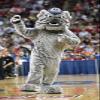 SPOTSOUND REDBROKOLY Mascot big gray dog soft and hairy bulldog view 1