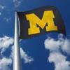 Rico Industries NCAA Michigan Wolverines Grey 3' x 5' Banner Flag Single Sided - Indoor or Outdoor - Home Dcor view 3