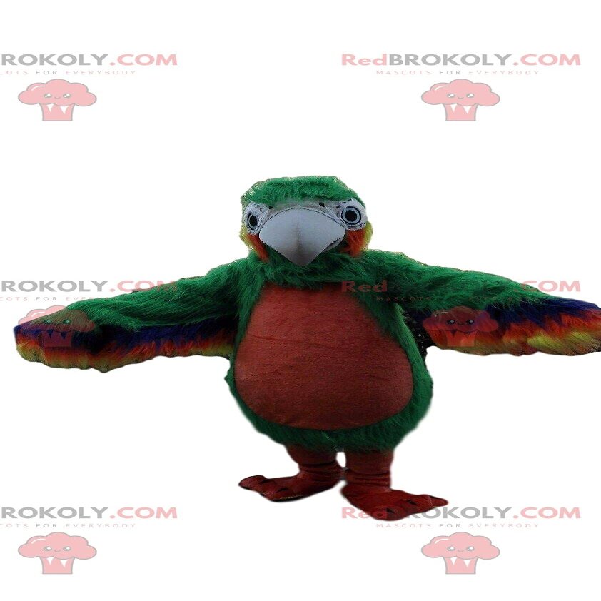 SPOTSOUND Green and red parrot REDBROKOLY Mascot, exotic bird costume