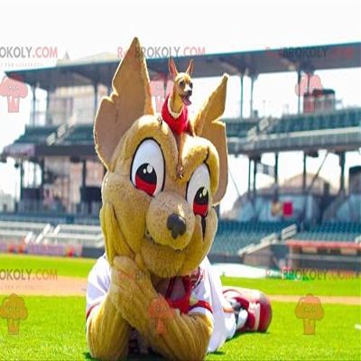 SPOTSOUND REDBROKOLY Mascot brown chihuahua in white and red outfit