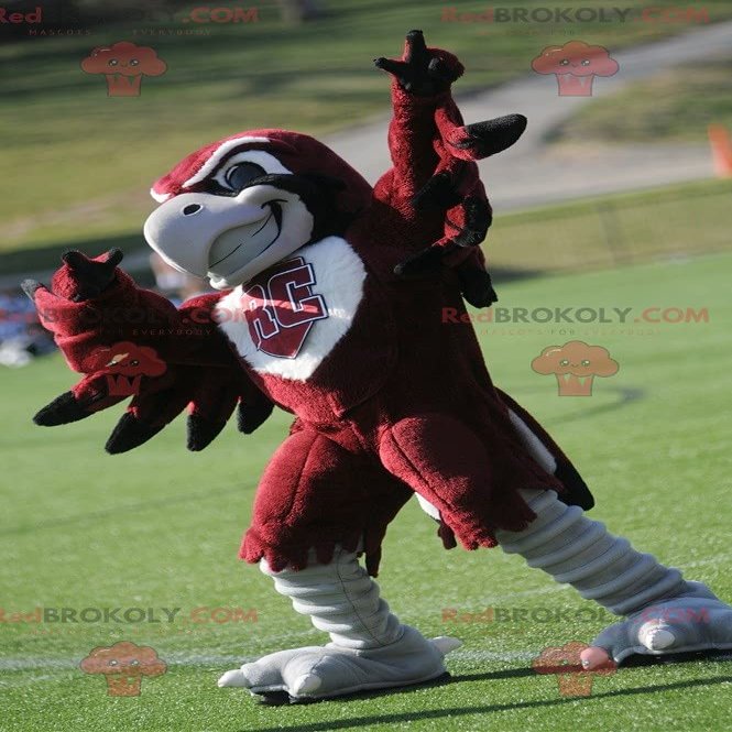 SPOTSOUND Red and white eagle vulture REDBROKOLY Mascot