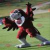 SPOTSOUND Red and white eagle vulture REDBROKOLY Mascot view 1
