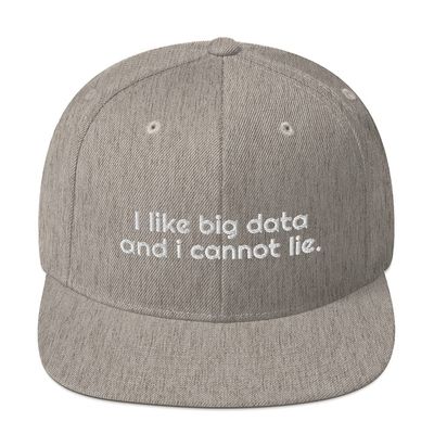 CreativeTees4You I Like Big Data and I Cannot Lie Data Analyst 3D Puff Flatbrim Flat Brim Snapback Hat Heather Grey