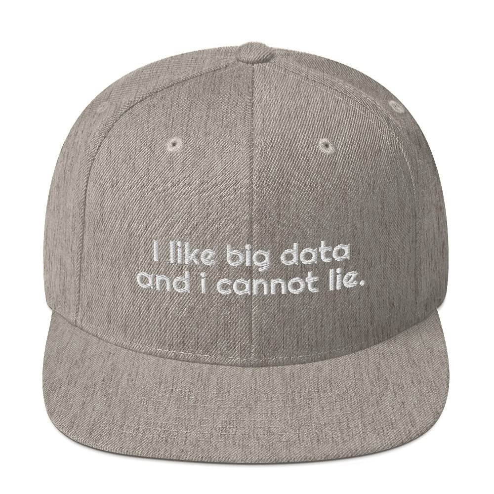 CreativeTees4You I Like Big Data and I Cannot Lie Data Analyst 3D Puff Flatbrim Flat Brim Snapback Hat Heather Grey