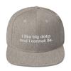 CreativeTees4You I Like Big Data and I Cannot Lie Data Analyst 3D Puff Flatbrim Flat Brim Snapback Hat Heather Grey view 1