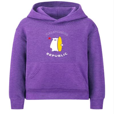 Daxton California Republic Youth Unisex Pullover Hoodie Mid-Weight Fleece Sweatshirt, Purple, Medium