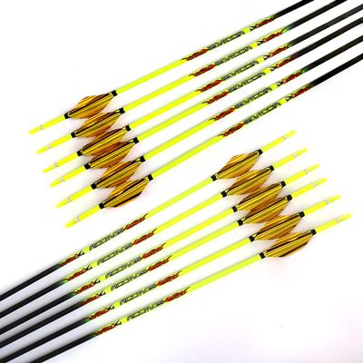 12pc Custom Length Carbon Arrows for 15-80 Lb Compound Bow ID 4.2mm .165" 22-32 Inch Spine 400 500 600 700 800 900 1000 Target Practice & Hunting Arrow Adult Youth Shooting