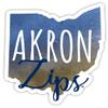 Akron Zips Watercolor State Decorative Decal 2-Inch Officially Licensed Collegiate Product