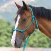 Harrison Howard Rope Halters for Horses Super Sturdy Horse Rope Training Halter with 4 Knot 1/4" Stiff Halter Cord Size Standard - Turquoise view 2