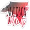 Davidson College Watercolor State Die Cut Decal 2-Inch Officially Licensed Collegiate Product