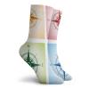 Compass Funny Compression Socks Women and Men,Colorful Compasses Windrose Finding Directions Discovery Directions Pathfinding,Best for Circulation,Running,Athletic,Nurse,Travel,Multicolor -12 inch view 2