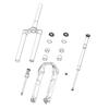 RockShox Domain B1 Air Shaft 160mm, 11.4018.111.016 view 1