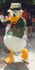 SPOTSOUND Donald Duck REDBROKOLY Mascot dressed as an explorer