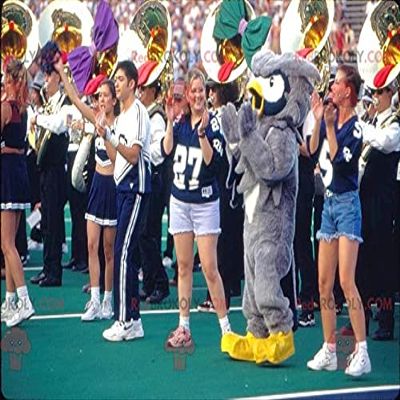 SPOTSOUND REDBROKOLY Mascot gray white and yellow owls
