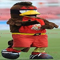 SPOTSOUND Yellow and red brown bird REDBROKOLY Mascot