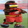 SPOTSOUND Yellow and red brown bird REDBROKOLY Mascot