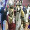 2 furry and colorful dog REDBROKOLY Mascots view 1