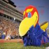 SPOTSOUND REDBROKOLY Mascot big blue red and yellow bird