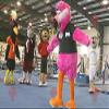 SPOTSOUND Giant flamingo REDBROKOLY Mascot all hairy