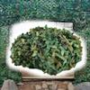 LKP 2030ft Camouflage Netting for Hunting Camping Sun Shade Outdoor Woodland Camo Netting for Jungle Party Decoration Blind Shooting view 1