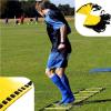 Resistance Parachute Training Equipment Set, Include 16m Agility Ladder /1Resistance Parachute/4hooks/6 Cones,Improv Speed/Stamina/Strength view 4