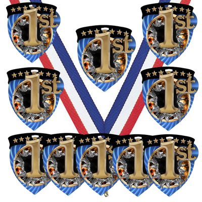 10 Pack Shield Shape 1st Place Medals Trophy Team Award with Neck Ribbons CSM