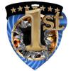 10 Pack Shield Shape 1st Place Medals Trophy Team Award with Neck Ribbons CSM view 2