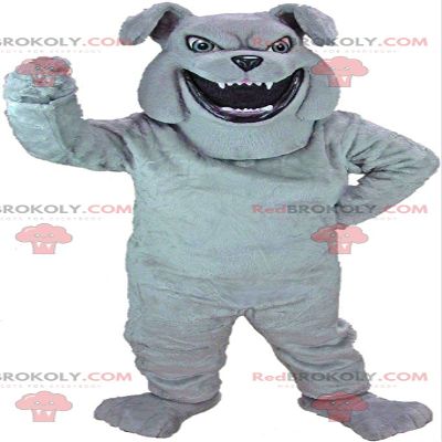 SPOTSOUND Gray bulldog REDBROKOLY Mascot looking fierce, wicked dog costume