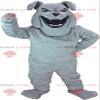 SPOTSOUND Gray bulldog REDBROKOLY Mascot looking fierce, wicked dog costume view 1