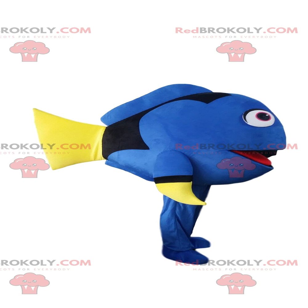 SPOTSOUND Dory REDBROKOLY Mascot, the famous cartoon surgeonfish