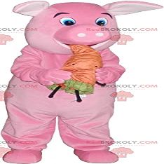SPOTSOUND Pink pig REDBROKOLY Mascot with an orange carrot