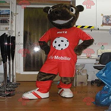 SPOTSOUND Brown teddy beaver REDBROKOLY Mascot in sportswear