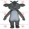 SPOTSOUND Giant and smiling gray and white koala REDBROKOLY Mascot view 1