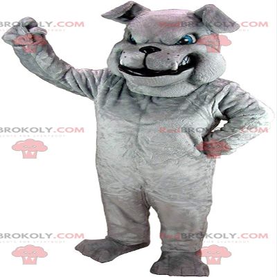 SPOTSOUND Gray bulldog REDBROKOLY Mascot looking nasty, gray dog costume