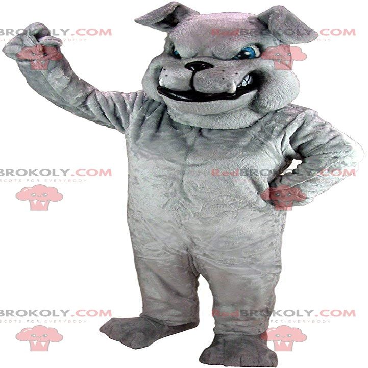 SPOTSOUND Gray bulldog REDBROKOLY Mascot looking nasty, gray dog costume