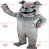 SPOTSOUND Gray bulldog REDBROKOLY Mascot looking nasty, gray dog costume view 1