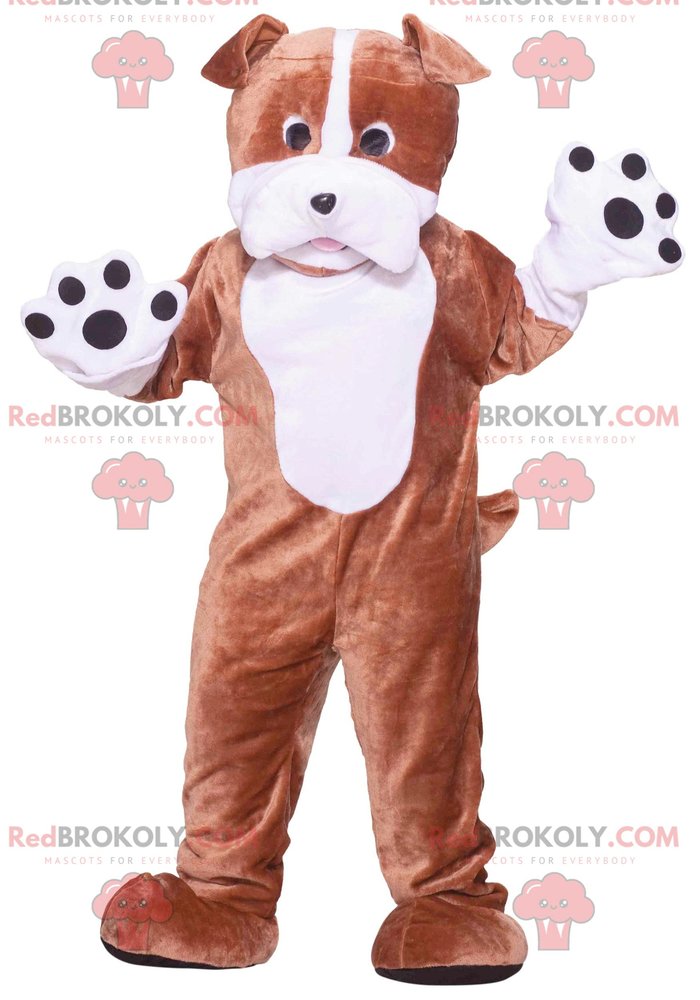 SPOTSOUND Big brown and white dog REDBROKOLY Mascot