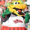 SPOTSOUND Very smiling green and yellow crocodile REDBROKOLY Mascot view 1