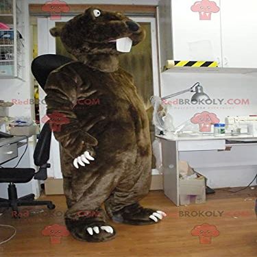 SPOTSOUND Giant brown and black beaver REDBROKOLY Mascot