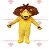 SPOTSOUND Original yellow lion REDBROKOLY Mascot. Lion costume