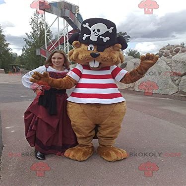 SPOTSOUND Brown beaver REDBROKOLY Mascot in pirate outfit